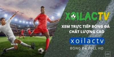 Xoilac TV - Cập nhật các giải đấu mới nhất tại https://cultureandyouth.org/